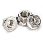 Kacang Flange SS Hex
